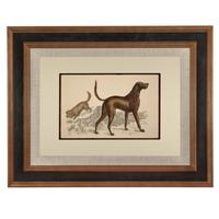 Hand Coloured 'Hound' Lithograph. Goldsmith 1875 (4 of 4) Hand Coloured 'Hound' Lithograph. Goldsmith 1875 (4 of 4)