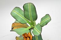 Vintage South Amercian Carved Wood Banana Tree Sculpture (7 of 10) Vintage South Amercian Carved Wood Banana Tree Sculpture (7 of 10)
