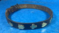 Victorian Brass Mounted Hide Dog Collar (8 of 10) Victorian Brass Mounted Hide Dog Collar (8 of 10)