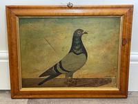 Decorative Sporting Early 20th Century Oil Canvas Painting English Racing Pigeon (3 of 35) Decorative Sporting Early 20th Century Oil Canvas Painting English Racing Pigeon (3 of 35)