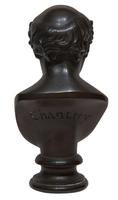 Early 19th Century Bronze Bust (3 of 7) Early 19th Century Bronze Bust (3 of 7)