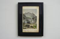 6 Framed Animal Coloured Pictures Plates C1877 Sketches from Nature - India (12 of 14) 6 Framed Animal Coloured Pictures Plates C1877 Sketches from Nature - India (12 of 14)