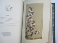 The Pictorial Arts of Japan, William Anderson, 1886, Seminal Work, Illustrated (5 of 21) The Pictorial Arts of Japan, William Anderson, 1886, Seminal Work, Illustrated (5 of 21)