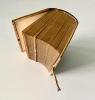 Item Additional Image