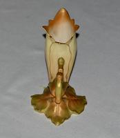 1909 Royal Worcester Edwardian Lily Bud Vase, Shape No 891 (3 of 6) 1909 Royal Worcester Edwardian Lily Bud Vase, Shape No 891 (3 of 6)