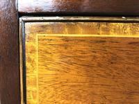Quality 20th Century Bow Front Mahogany Chest of Drawers (M-1537) (4 of 11) Quality 20th Century Bow Front Mahogany Chest of Drawers (M-1537) (4 of 11)