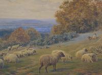 19th Century Watercolour Frederick Williamson Shepherd at Rest With His Flock (6 of 9) 19th Century Watercolour Frederick Williamson Shepherd at Rest With His Flock (6 of 9)