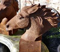 Pair of Large Outdoor Weathered Cast Iron Horse Heads (5 of 7) Pair of Large Outdoor Weathered Cast Iron Horse Heads (5 of 7)