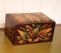 Mauchline Fernware Box (2 of 9) Mauchline Fernware Box (2 of 9)