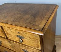 Attractive Walnut Chest of Drawers (7 of 7) Attractive Walnut Chest of Drawers (7 of 7)