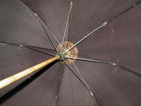 Antique Gold Plate Horse Carriage Driving Umbrella W/ Brown Canopy & Carved Top (7 of 15) Antique Gold Plate Horse Carriage Driving Umbrella W/ Brown Canopy & Carved Top (7 of 15)