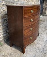 Large Regency Mahogany Bow Front Chest of Drawers (3 of 19) Large Regency Mahogany Bow Front Chest of Drawers (3 of 19)
