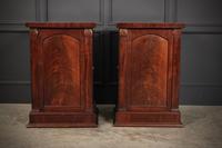 Pair of William IV Flame Mahogany Pedestal Cabinets (6 of 15) Pair of William IV Flame Mahogany Pedestal Cabinets (6 of 15)