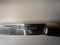 Silver Bladed Fruit Knife, 1919 (5 of 5) Silver Bladed Fruit Knife, 1919 (5 of 5)