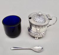 Small Victorian Silver Mustard Pot by William Devenport, Birmingham 1895 (5 of 8) Small Victorian Silver Mustard Pot by William Devenport, Birmingham 1895 (5 of 8)