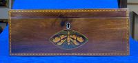 George III Solid Mahogany Box With Wonderful Inlaid Panels (5 of 18) George III Solid Mahogany Box With Wonderful Inlaid Panels (5 of 18)