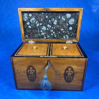 George III Satinwood Twin Tea Caddy with Prince of Wales Inlay (8 of 15) George III Satinwood Twin Tea Caddy with Prince of Wales Inlay (8 of 15)