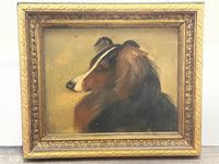 Pair of Scottish 19th Century Oil Paintings Rough Collie Dog Portraits After George Washington Brownlow (24 of 49) Pair of Scottish 19th Century Oil Paintings Rough Collie Dog Portraits After George Washington Brownlow (24 of 49)