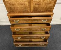 Burr Walnut Cupboard Over Chest (12 of 15) Burr Walnut Cupboard Over Chest (12 of 15)