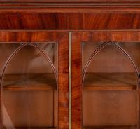 Regency Mahogany 2 Door Glazed Bookcase (7 of 7) Regency Mahogany 2 Door Glazed Bookcase (7 of 7)
