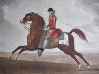 18th century etching of "Childers the Fleetest Horse that Ever run at Newmarket" by Houston after Seymour (2 of 5) 18th century etching of "Childers the Fleetest Horse that Ever run at Newmarket" by Houston after Seymour (2 of 5)