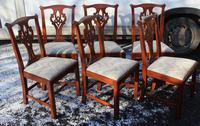 1960 Set 6 Mahogany Georgian style Dining Chairs in a Pale Pattern. (2 of 3) 1960 Set 6 Mahogany Georgian style Dining Chairs in a Pale Pattern. (2 of 3)