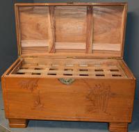 Camphor Wood Trunk (4 of 6) Camphor Wood Trunk (4 of 6)