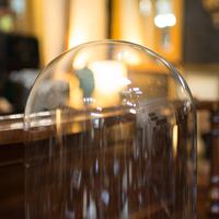 Antique Display Dome, English, Glass, Mahogany, Taxidermy, Showcase, Victorian (7 of 10) Antique Display Dome, English, Glass, Mahogany, Taxidermy, Showcase, Victorian (7 of 10)