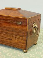 Antique Rosewood Tea Caddy (14 of 15) Antique Rosewood Tea Caddy (14 of 15)