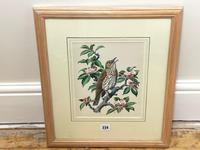 Watercolour "Chirping Song Thrush Bird" Signed Charles Frederick Tunnicliffe OBE RA 1901-1979 (27 of 35) Watercolour "Chirping Song Thrush Bird" Signed Charles Frederick Tunnicliffe OBE RA 1901-1979 (27 of 35)