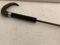 Gentleman’s walking stick sword stick with horn handle (39 of 41) Gentleman’s walking stick sword stick with horn handle (39 of 41)
