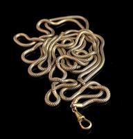Victorian Snake Link Guard Chain (2 of 12) Victorian Snake Link Guard Chain (2 of 12)