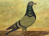 Decorative Sporting Early 20th Century Oil Canvas Painting English Racing Pigeon (6 of 35) Decorative Sporting Early 20th Century Oil Canvas Painting English Racing Pigeon (6 of 35)