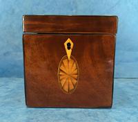 18th Century Harewood Inlaid Single Mahogany Tea Caddy (7 of 18) 18th Century Harewood Inlaid Single Mahogany Tea Caddy (7 of 18)
