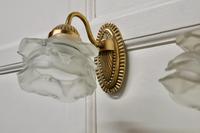 Brass Wall Light Set with Flower Shades, 1 Double and 2 Single Lights (9 of 14) Brass Wall Light Set with Flower Shades, 1 Double and 2 Single Lights (9 of 14)