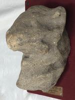 20th Century postern grotesque dog architectural stone sculpture wall plaque (3 of 7) 20th Century postern grotesque dog architectural stone sculpture wall plaque (3 of 7)