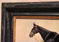 Horse oil painting 'Victor' by L Mallender (2 of 8) Horse oil painting 'Victor' by L Mallender (2 of 8)