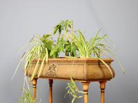 Early 20th Century Chinoiserie Planter by Mariner 1893 (7 of 7) Early 20th Century Chinoiserie Planter by Mariner 1893 (7 of 7)