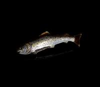 Antique Enamel Salmon Brooch, 15ct Gold, Silver (7 of 14) Antique Enamel Salmon Brooch, 15ct Gold, Silver (7 of 14)