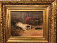 Pair of Victorian 19th Century Oil Paintings Terrier Dogs Ratting Signed J Langlois (4 of 35) Pair of Victorian 19th Century Oil Paintings Terrier Dogs Ratting Signed J Langlois (4 of 35)