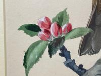 Watercolour "Chirping Song Thrush Bird" Signed Charles Frederick Tunnicliffe OBE RA 1901-1979 (17 of 35) Watercolour "Chirping Song Thrush Bird" Signed Charles Frederick Tunnicliffe OBE RA 1901-1979 (17 of 35)