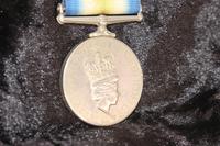South Atlantic medal with rosette (7 of 9) South Atlantic medal with rosette (7 of 9)