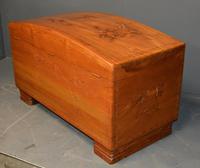 Camphor Wood Trunk (5 of 6) Camphor Wood Trunk (5 of 6)