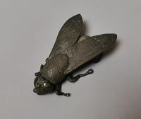 Antique Victorian Bronze Fly Sculpture (6 of 10) Antique Victorian Bronze Fly Sculpture (6 of 10)