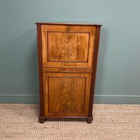 Regency Mahogany Antique Estate Cupboard with Fitted Interior (4 of 8) Regency Mahogany Antique Estate Cupboard with Fitted Interior (4 of 8)