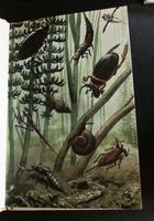 What To Look For In Summer, Winter, Spring & Autumn, Ladybird 1st Editions, 4 Volumes 4 Vols (4 of 7) What To Look For In Summer, Winter, Spring & Autumn, Ladybird 1st Editions, 4 Volumes 4 Vols (4 of 7)