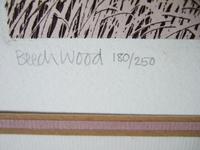 Kathleen Caddick Limited Edition Etching 'Beechwood' (4 of 6) Kathleen Caddick Limited Edition Etching 'Beechwood' (4 of 6)