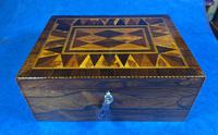George III Rosewood Tunbridge Ware Box with Specimen Wood Inlay (9 of 15) George III Rosewood Tunbridge Ware Box with Specimen Wood Inlay (9 of 15)