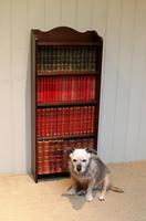Slim Oak Open Bookcase (8 of 8) Slim Oak Open Bookcase (8 of 8)