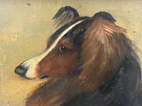 Pair of Scottish 19th Century Oil Paintings Rough Collie Dog Portraits After George Washington Brownlow (26 of 49) Pair of Scottish 19th Century Oil Paintings Rough Collie Dog Portraits After George Washington Brownlow (26 of 49)